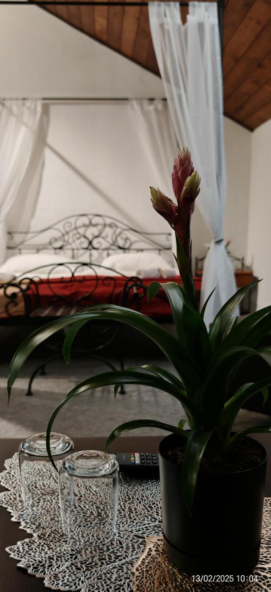 Hotel Plzensky Dvur Frýdek-Místek Εξωτερικό φωτογραφία